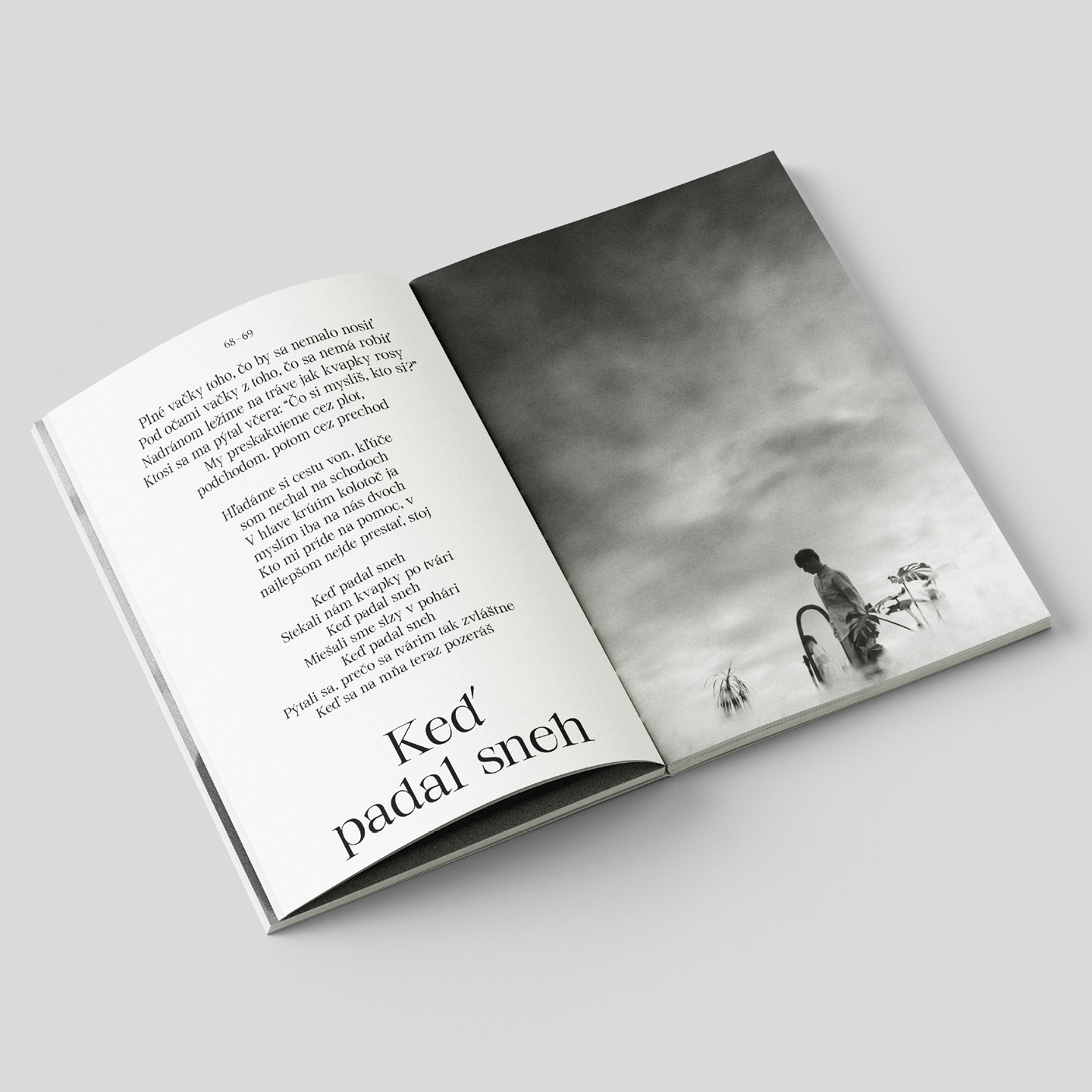 Fallgrapp – 10 rokov / Zine book